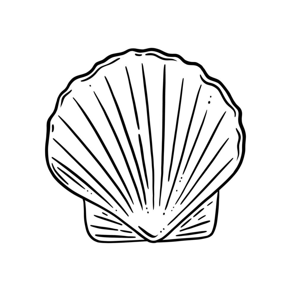 coquille coquille logo. coquillage avec une perle ou prêt pour cuisson. vecteur illustration