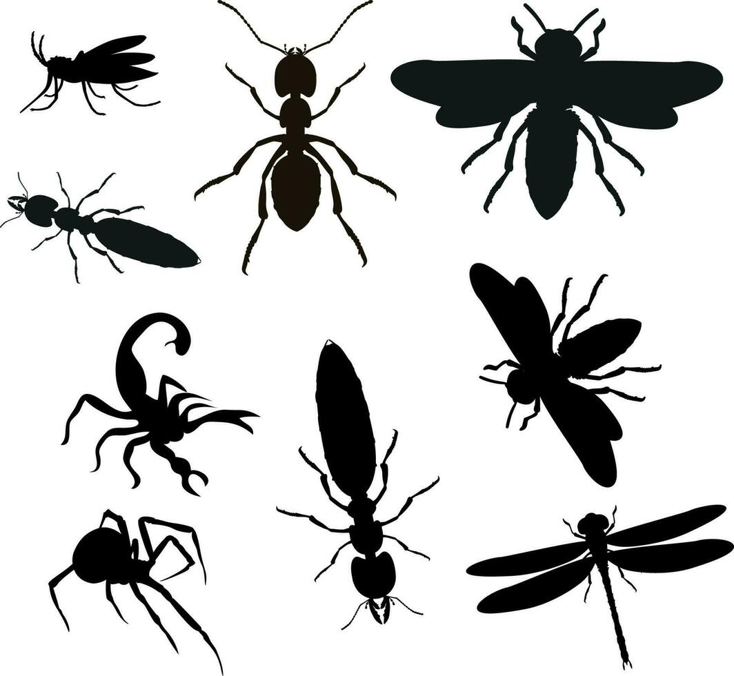 ensemble de différents insecte Icônes, silhouette vecteur illustration