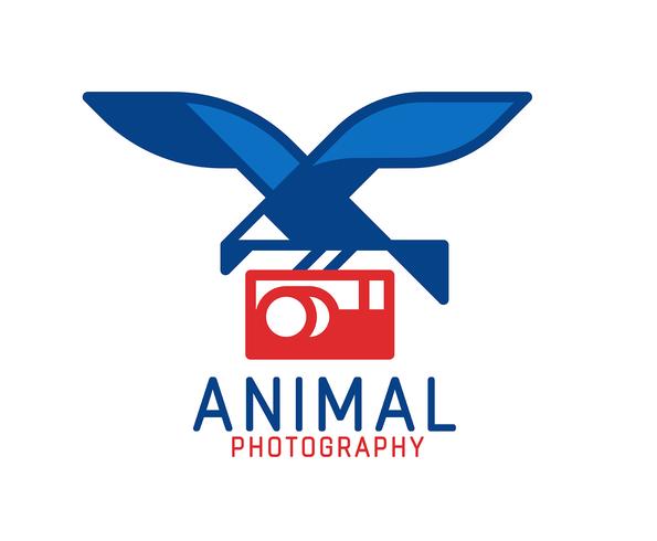 Logo du photographe vecteur