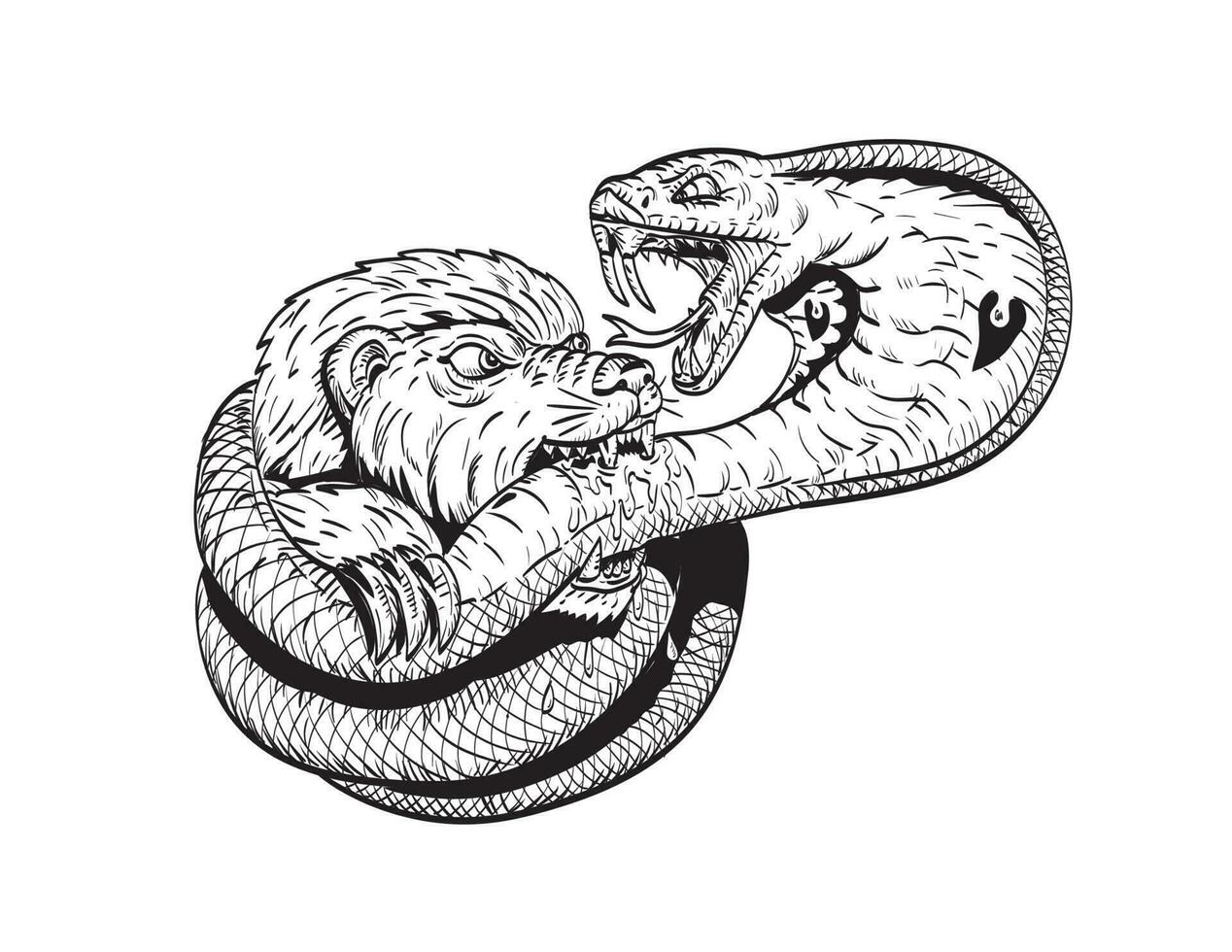 mon chéri blaireau combat mordant Roi cobra serpent des bandes dessinées style dessin vecteur