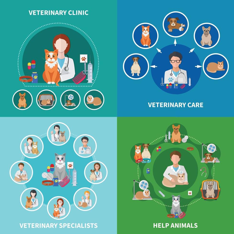 concept d & # 39; icônes plats vétérinaires vecteur