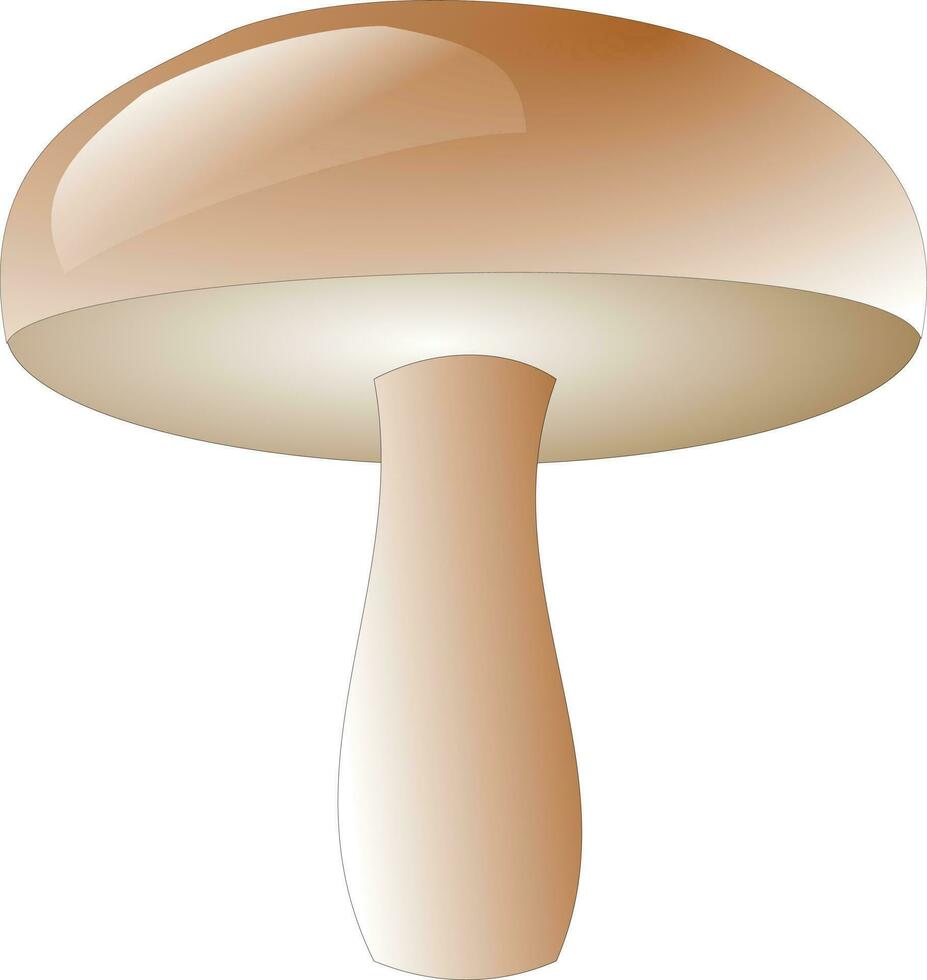 champignon illustration vecteur