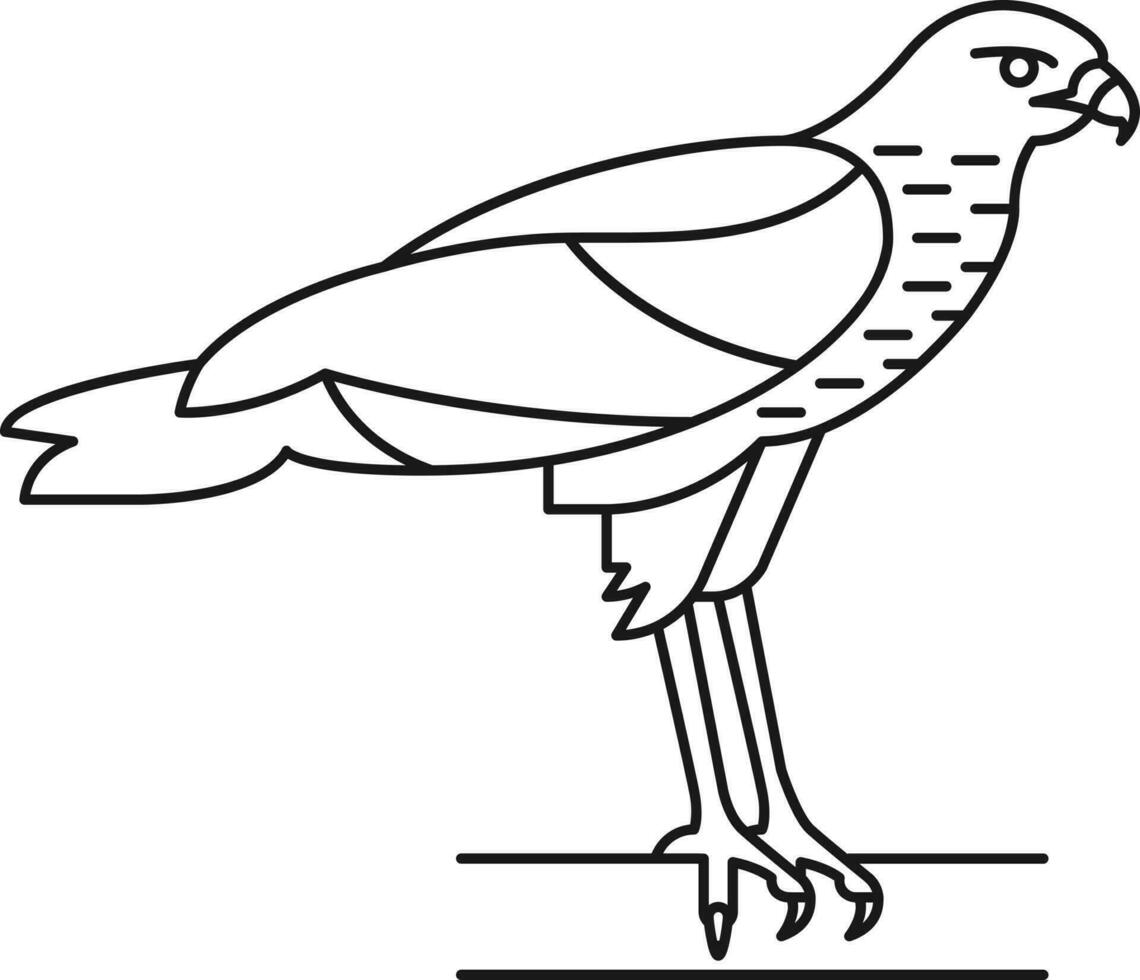 oiseau illustration vecteur