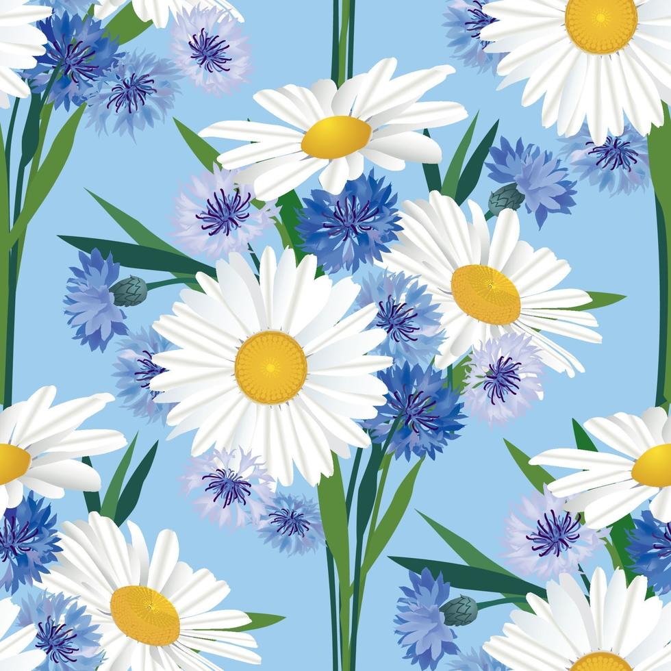 motif floral sans soudure. fond de fleur. fleurir la texture du jardin avec des fleurs de camomille et de bleuet. vecteur