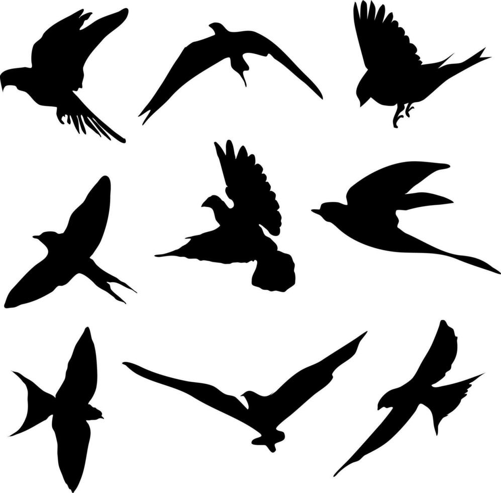 ensemble de en volant des oiseaux noir sur blanc transparent blanc Contexte silhouette vecteur