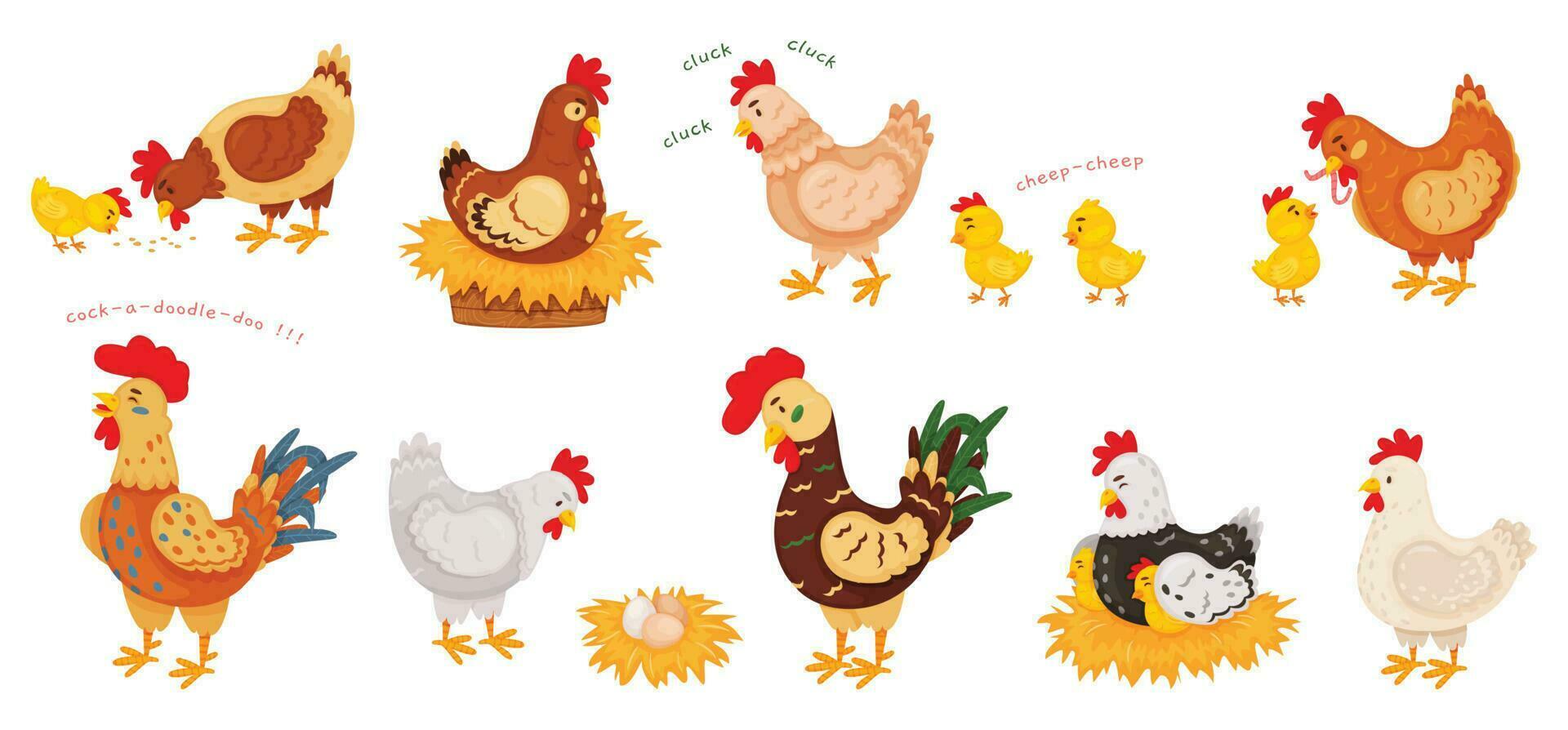 dessin animé marrant poulets, les poules et coqs, mignonne poussins. poulet sur nid avec œufs, peu poussin et mère poule, ferme oiseau animaux vecteur ensemble