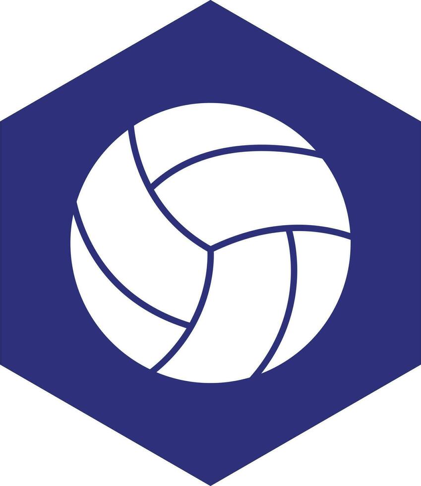 conception d'icône de vecteur de volley-ball