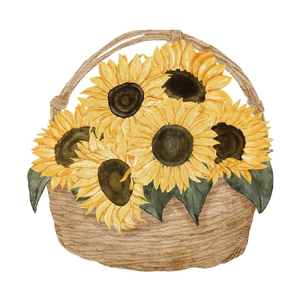 arrangement de tournesol aquarelle sur illustration de panier vecteur