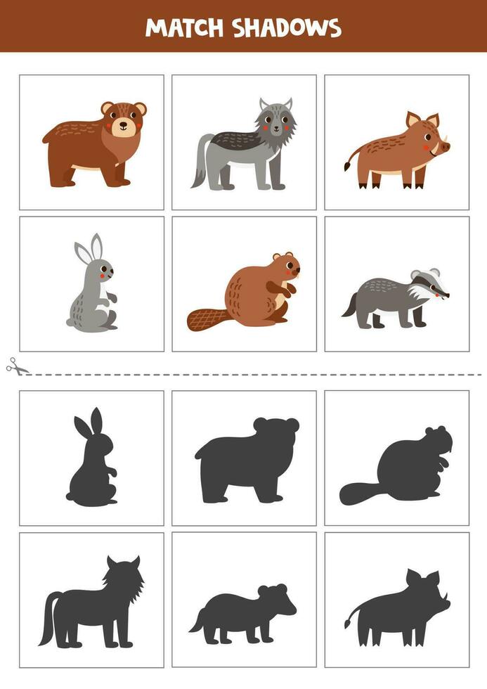 trouver ombres de mignonne des bois animaux. cartes pour enfants. vecteur