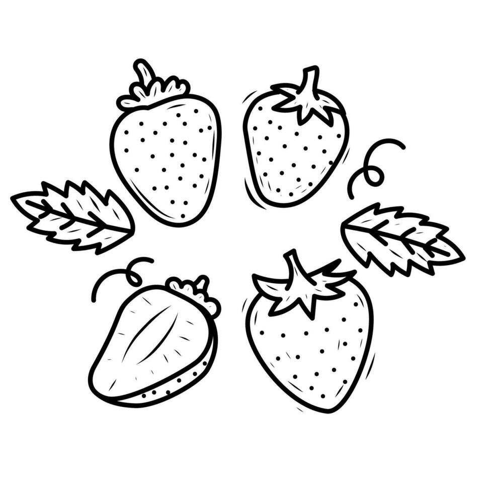 ensemble de fraise vecteur dans dessiné à la main style isolé sur blanc Contexte. fraise griffonnage illustration