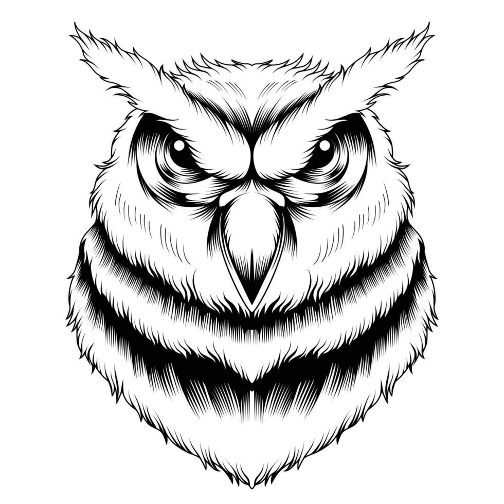 tête de hibou illustration vectorielle vecteur