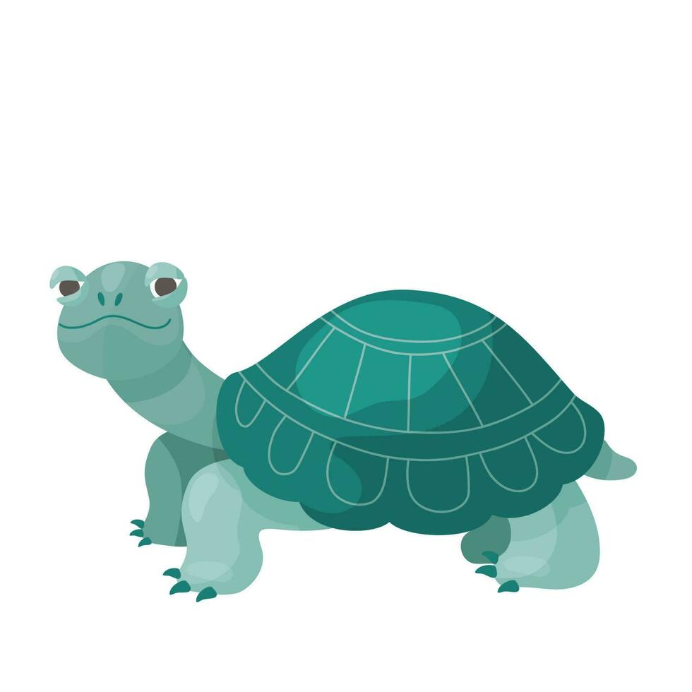 vert tortue. vecteur dessin animé illustration.