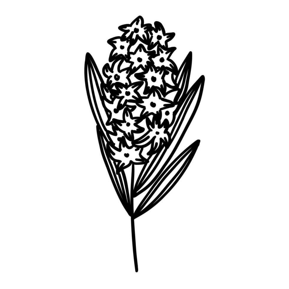 fleur dans contour griffonnage plat style. Facile floral élément plante feuilles décoratif conception. main tiré ligne art. Créatif minimaliste esquisser. vecteur illustration isolé sur blanc Contexte.