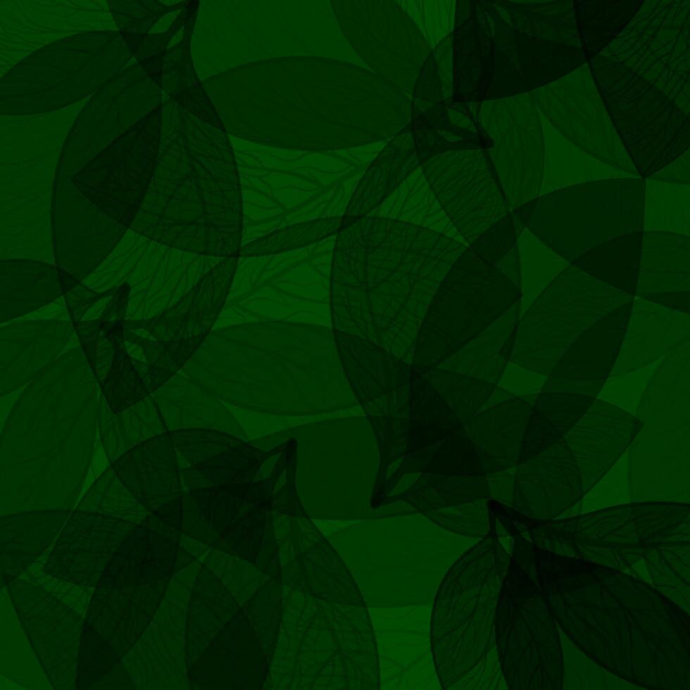 tropical foncé vert feuille vecteur Contexte