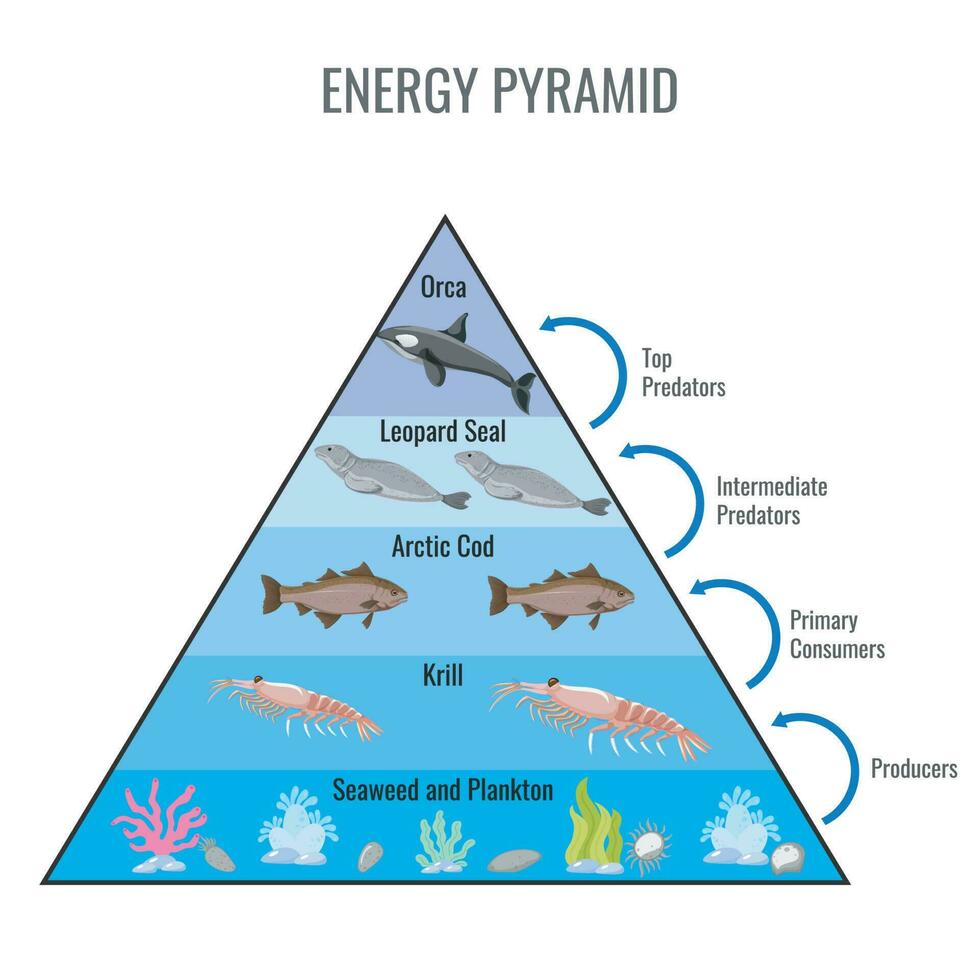 Arctique énergie pyramide vecteur illustration