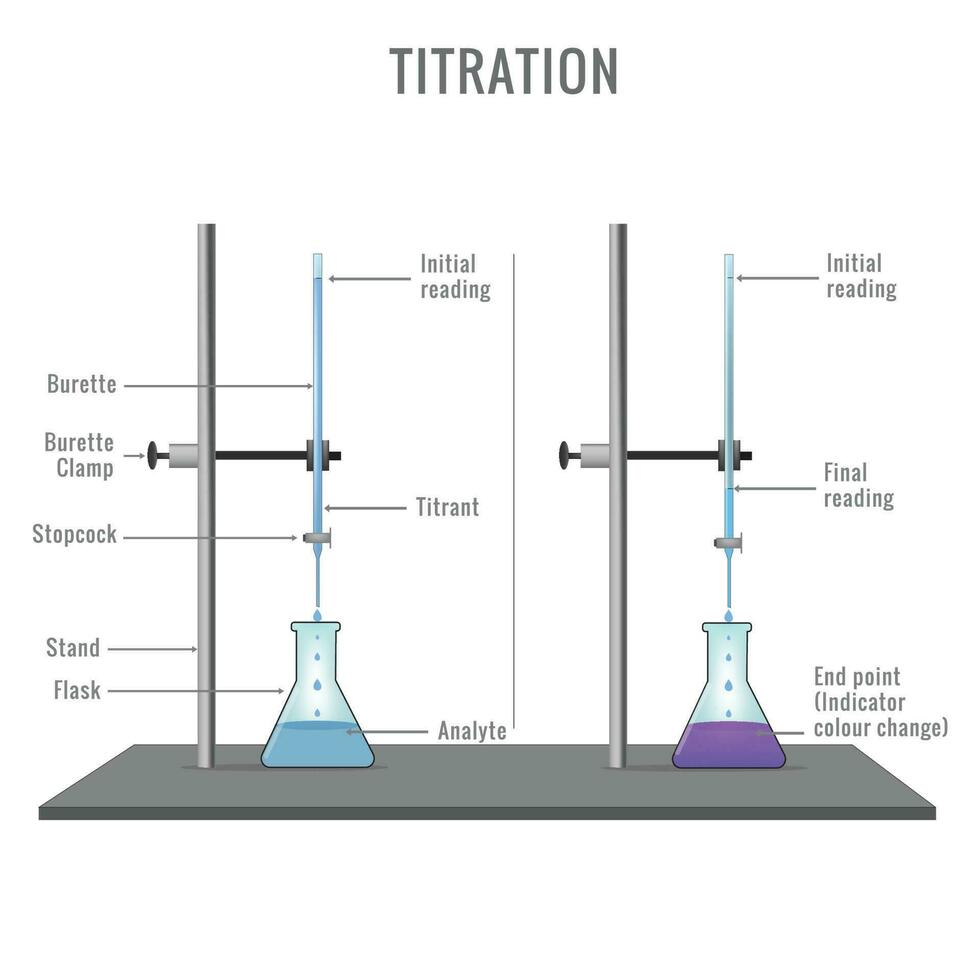 acide base titrage expérience et phases de Couleur changement pendant titrage vecteur