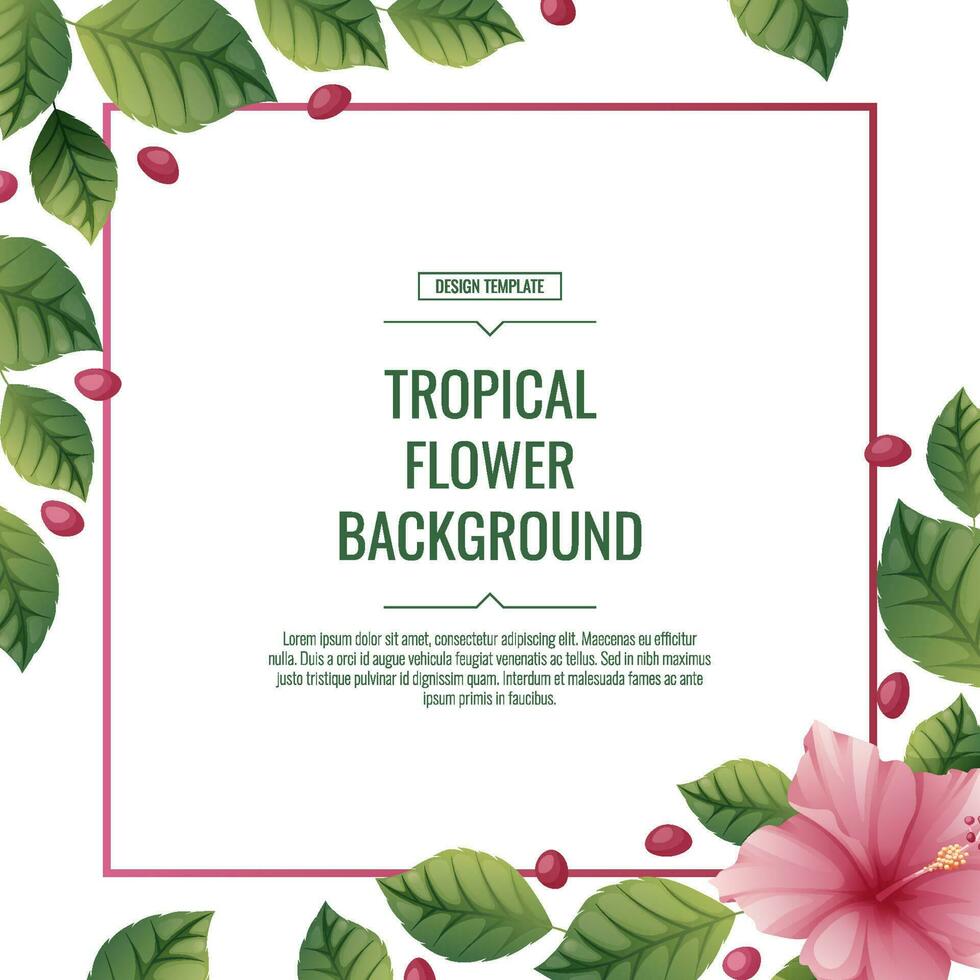 carré tropical Contexte avec rose hibiscus fleurs. affiche, placard, bannière, prospectus avec tropical les plantes. été fleur illustration vecteur