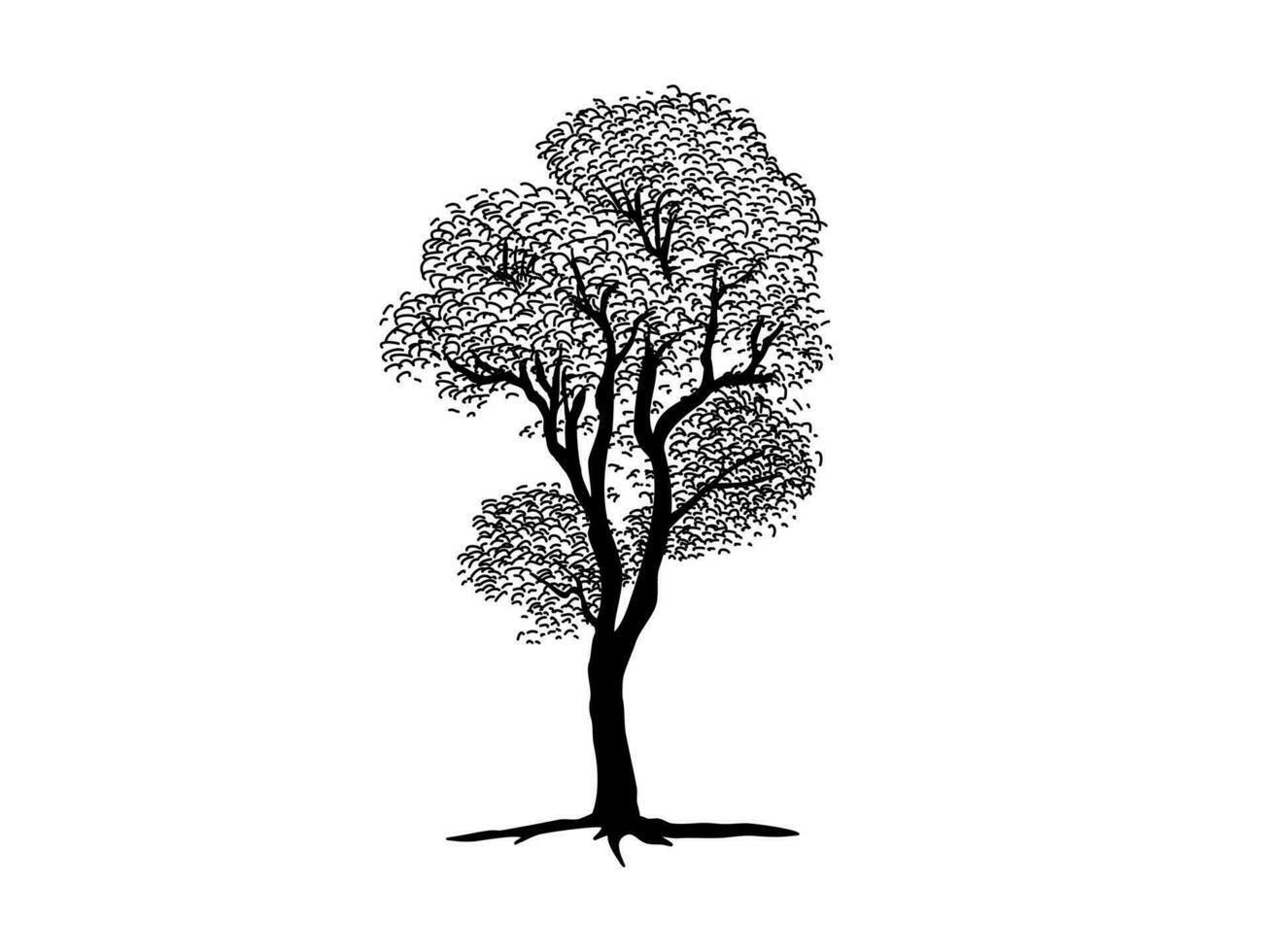 arbre de branche noire ou silhouettes d'arbres nus. illustrations isolées dessinées à la main. vecteur