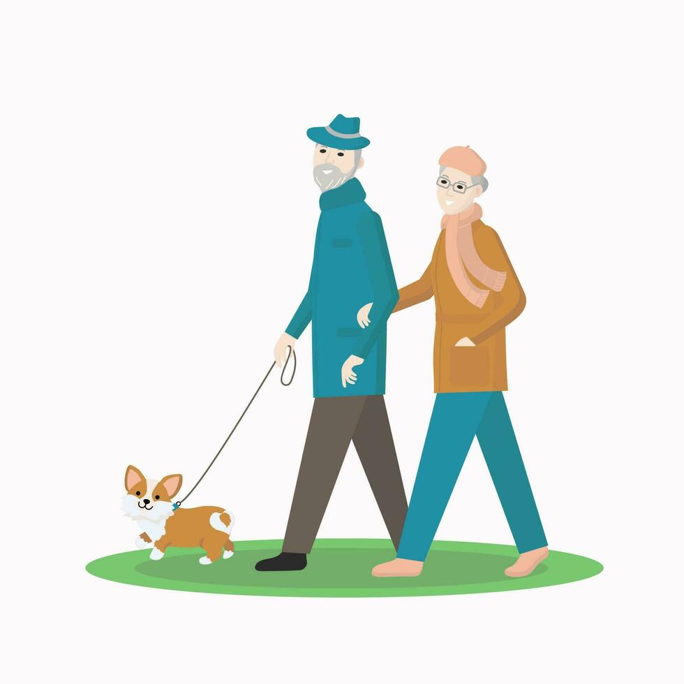 un personnes âgées couple en marchant leur animal de compagnie. retraité personnes, actif mode de vie. le chien est sur une laisse. corgi race. content grands-parents. vecteur illustration.