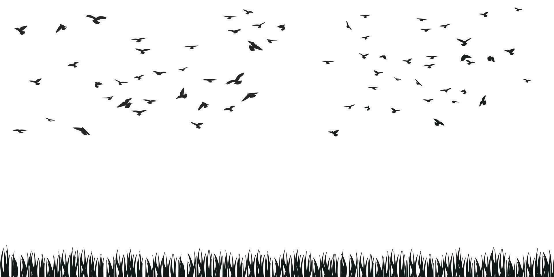 une troupeau de en volant des oiseaux silhouette, vol dans différent positions. flotter, planant, atterrissage, en volant, battement. isolé vecteur