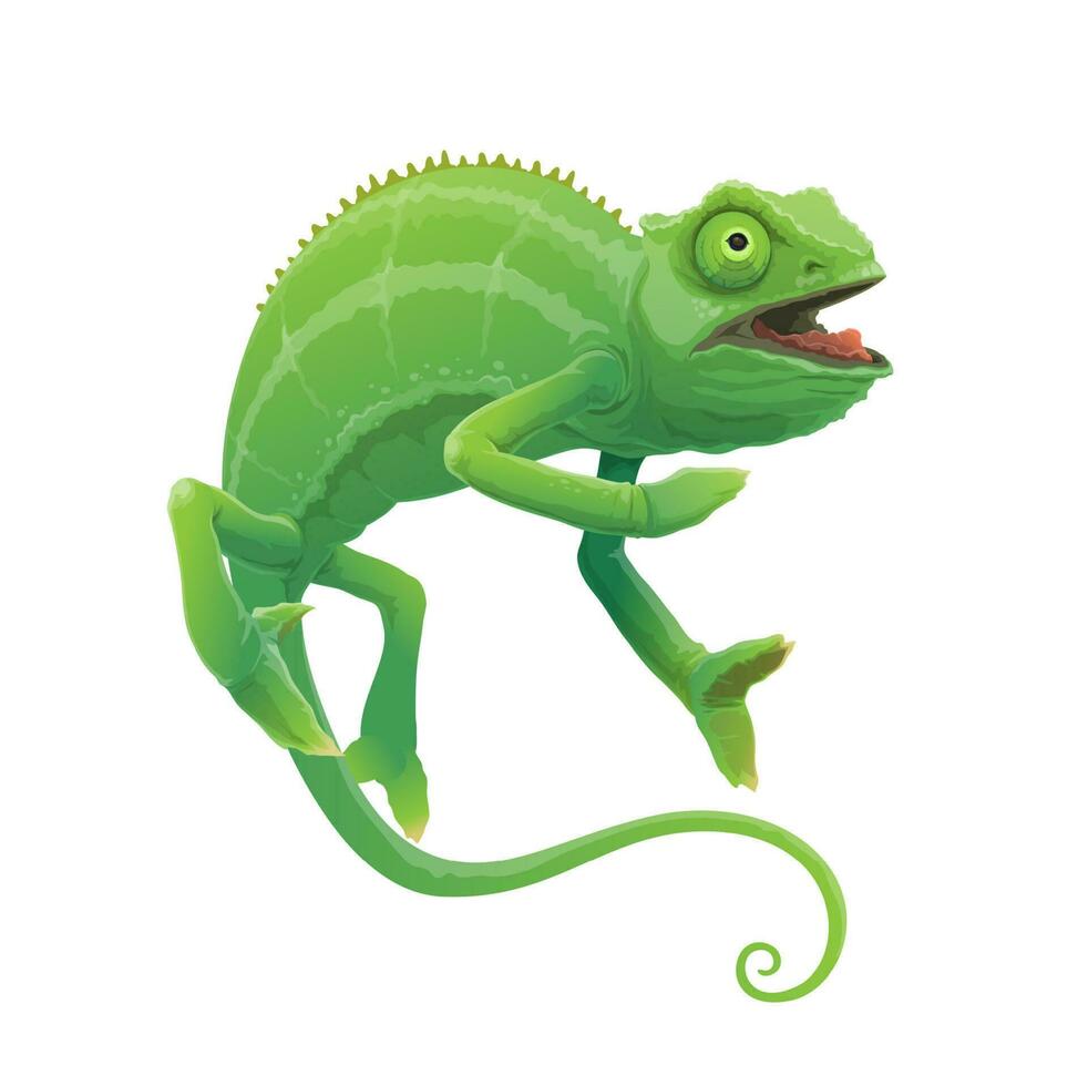 caméléon dessin animé vecteur vert lézard animal