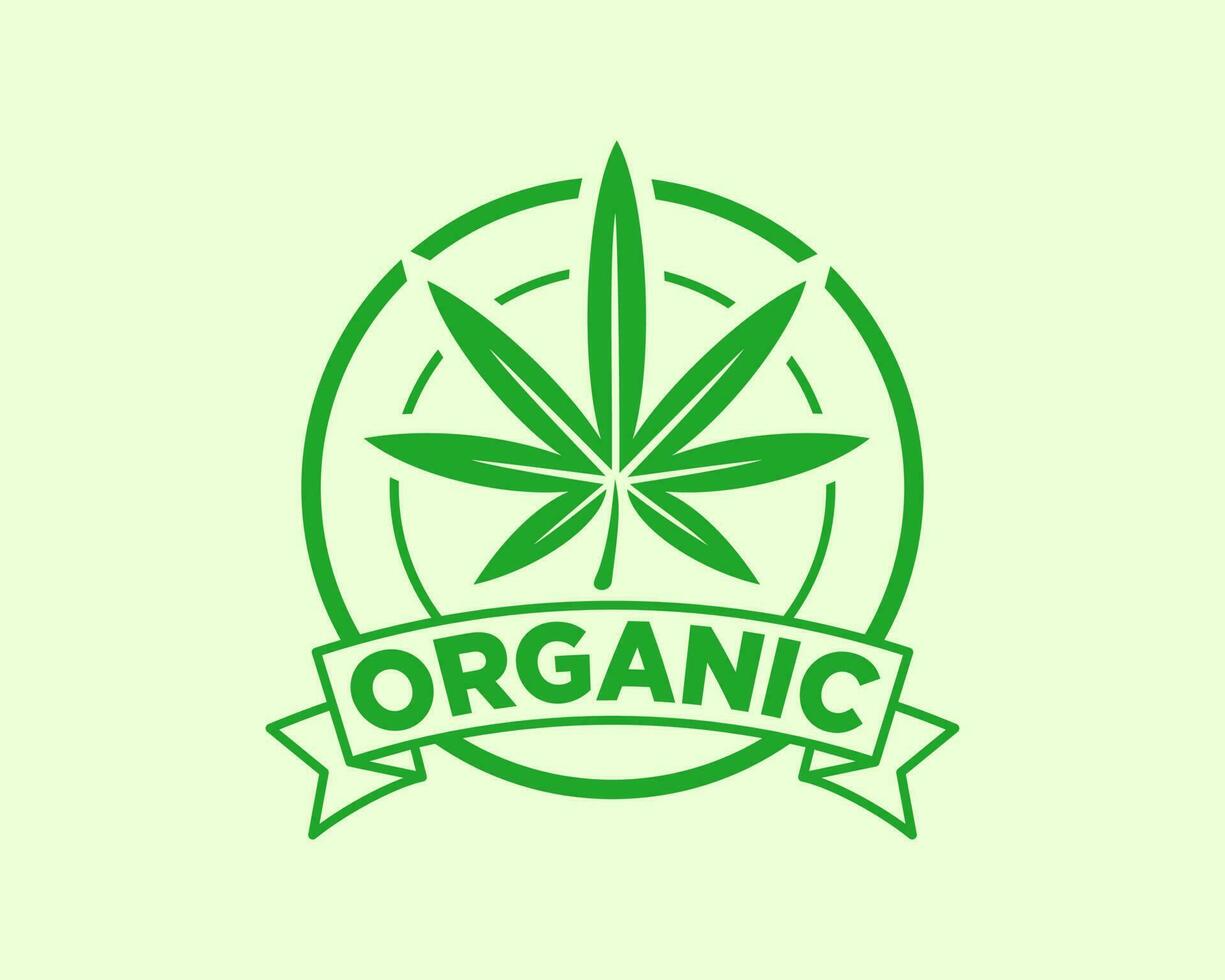 biologique chanvre feuille logo conception pour médical cannabis clinique vecteur