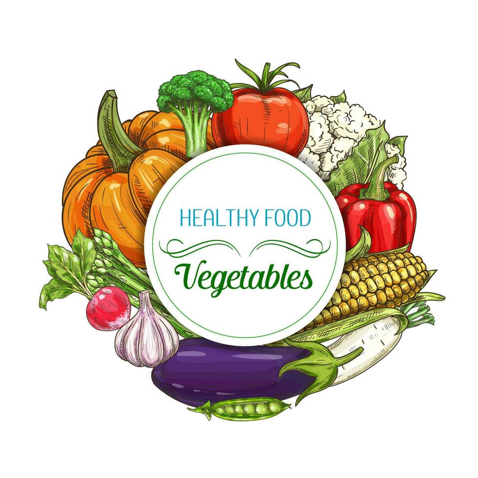 Frais des légumes esquisser de ferme nourriture et légumes vecteur