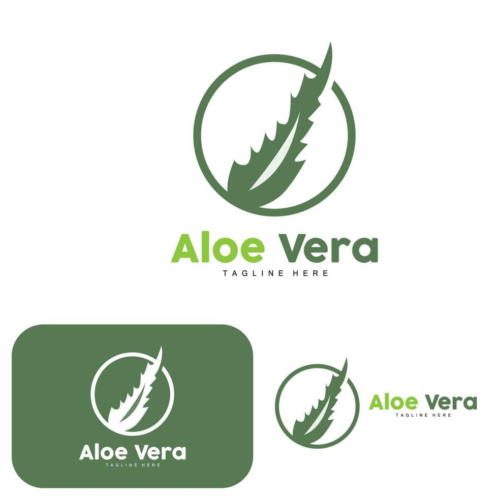 aloès Vera logo, vert plante conception, traditionnel médicament et peau se soucier plante vecteur, cheveux se soucier, symbole icône illustration vecteur