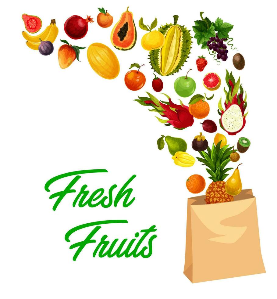 tropical des fruits marché, ferme nourriture exotique des fruits vecteur