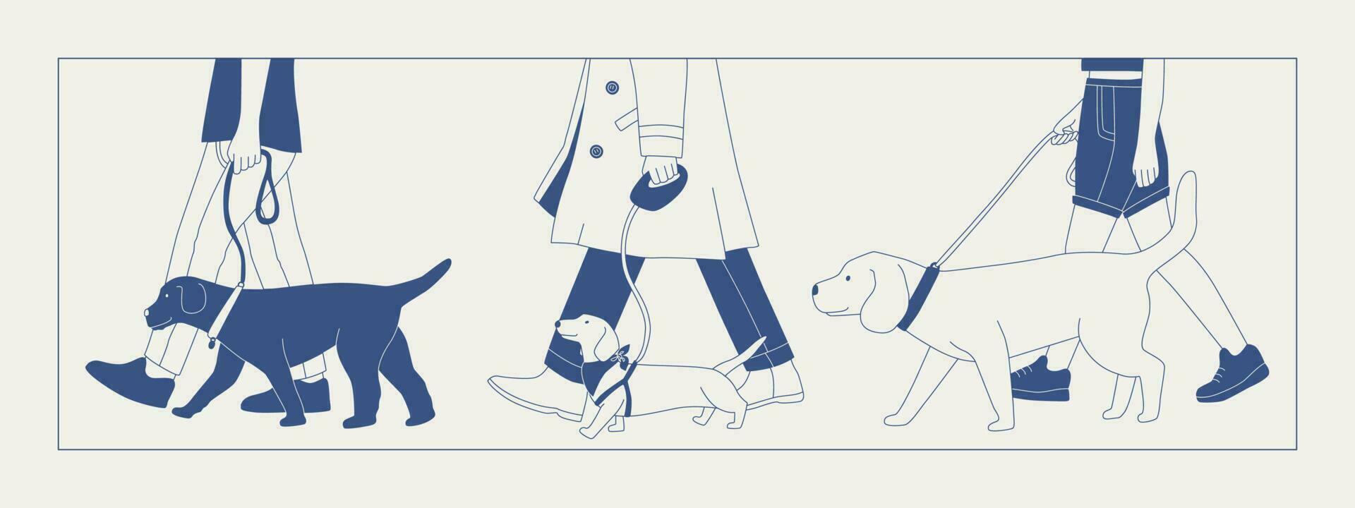une homme des promenades une chien sur une laisse. différent races de chiens sur une marcher. chien spectacle ou chien en marchant dans le ville ou dans le parc. vecteur plat contour graphique.