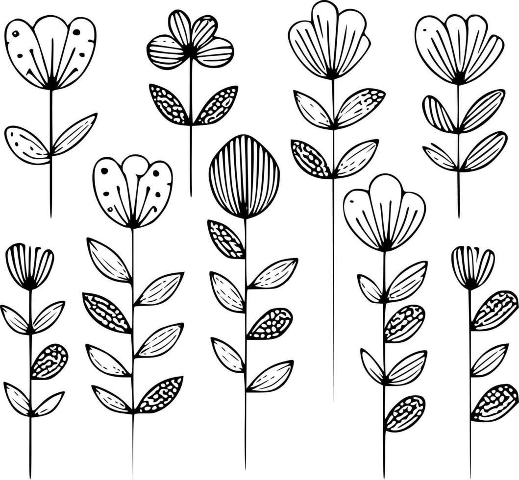 fleurs - noir et blanc isolé icône - vecteur illustration