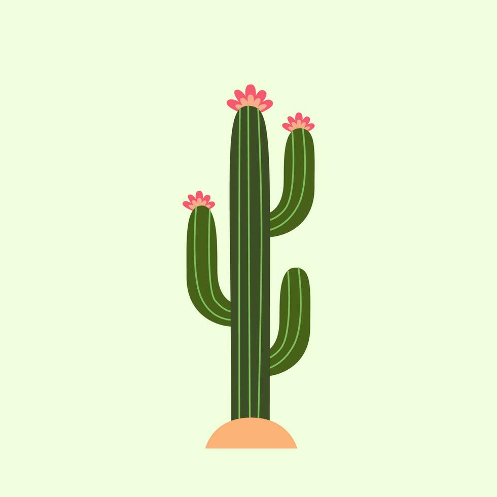 cactus vecteur illustration. vecteur cactus avec fleurs. cactus plat style.