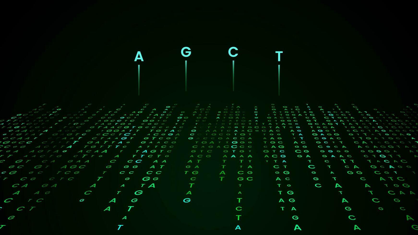 agct génomique Les données visualisation Contexte vecteur