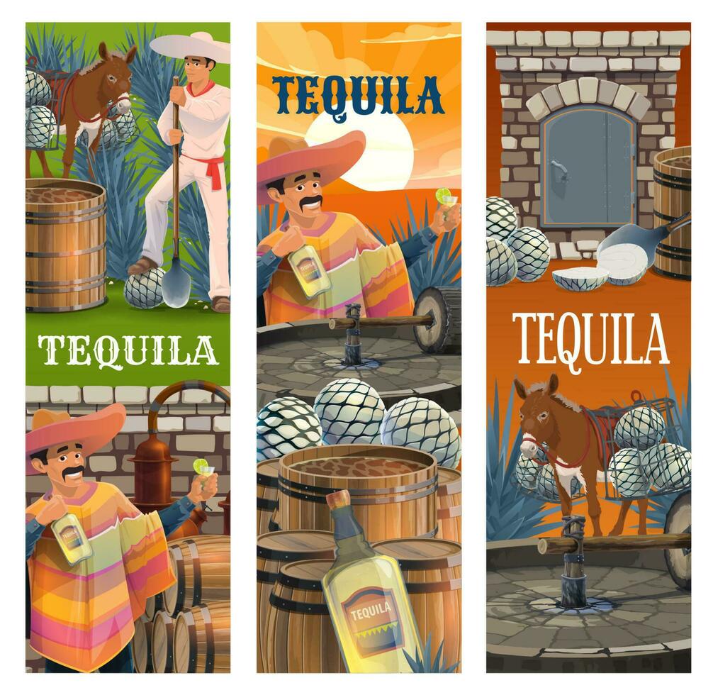 Tequila mexicain de l'alcool agave boisson production vecteur