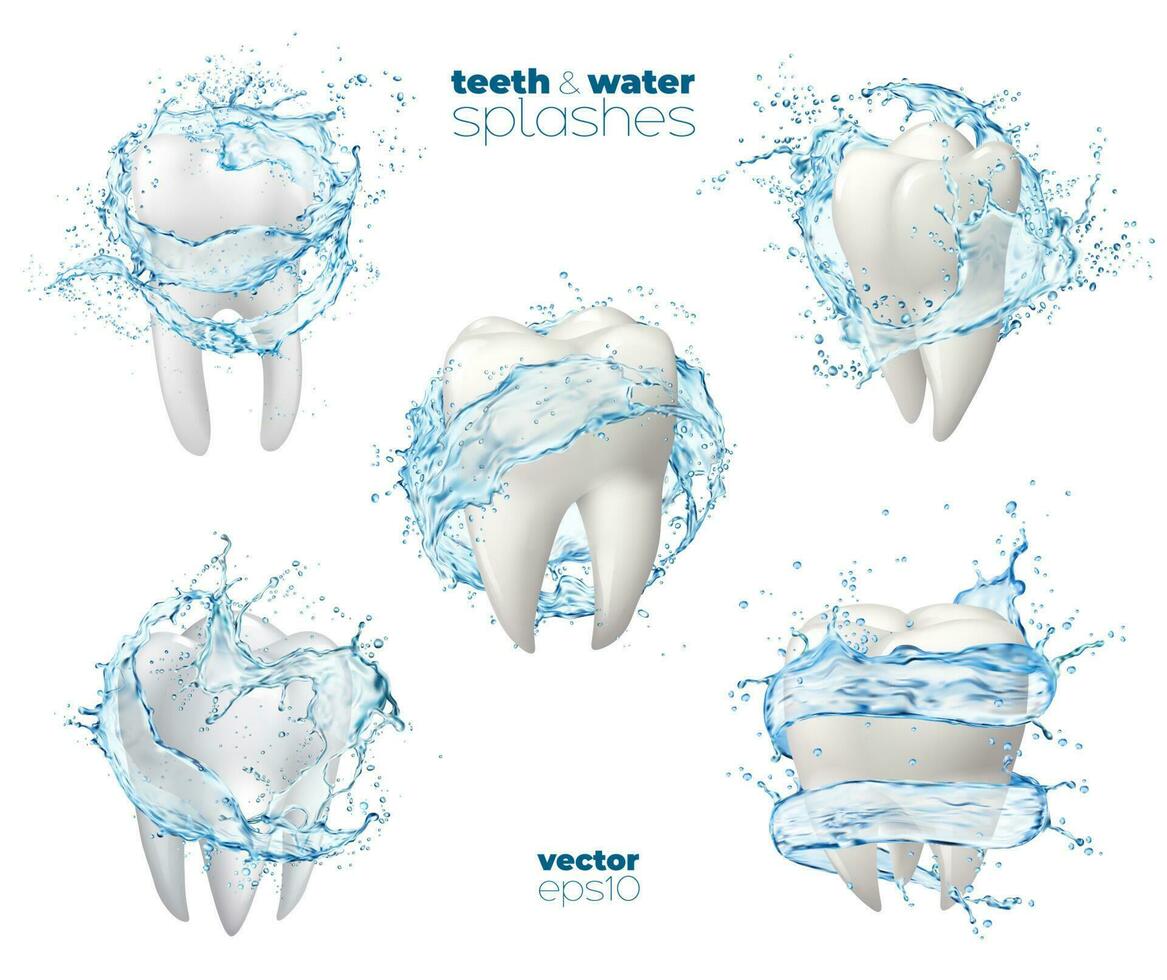 bouche rincer, bain de bouche, nettoyer les dents avec l'eau vecteur