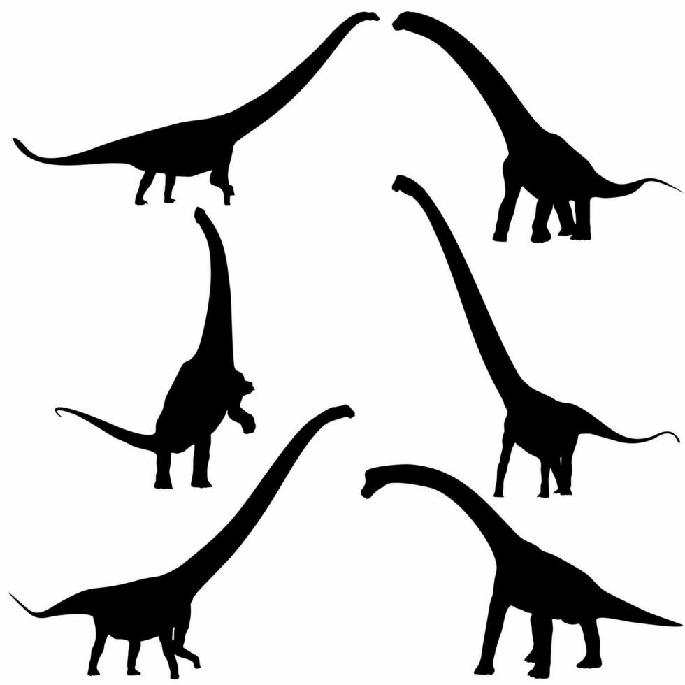 vecteur silhouettes de tricératops ou t-rex, brontosaure ou ptérodactyle et stégosaure, ptéranodon ou ceratosaurus et parasaurolophus reptile
