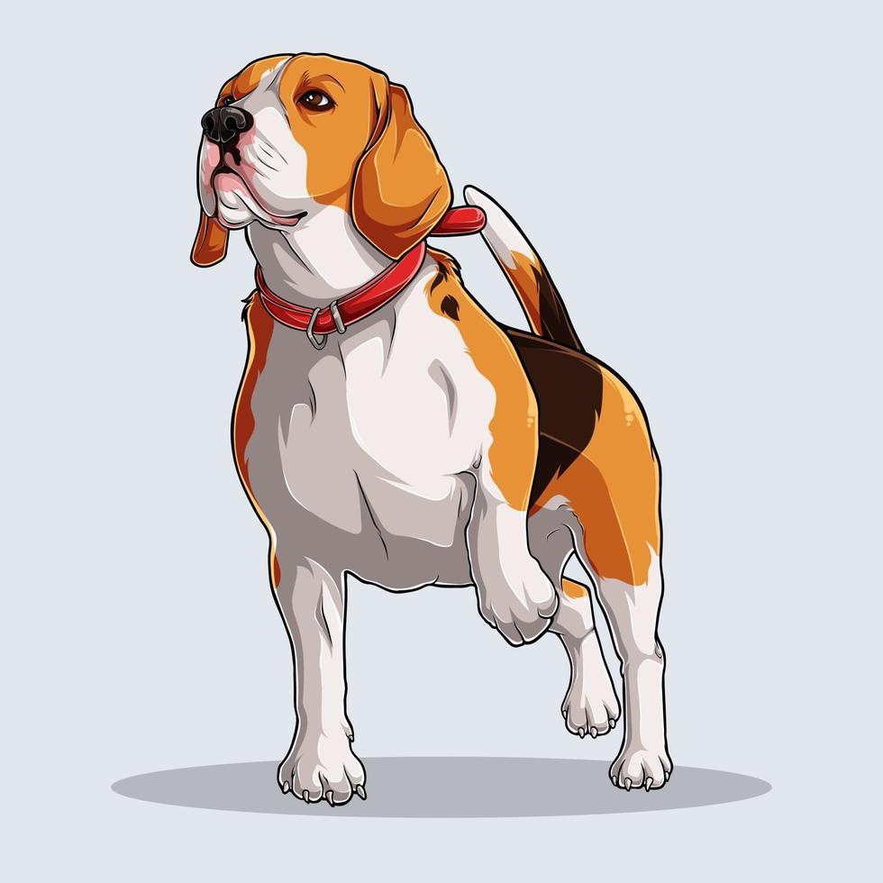 Chien beagle mignon illustré avec des ombres colorées et des lumières isolées sur fond blanc vecteur