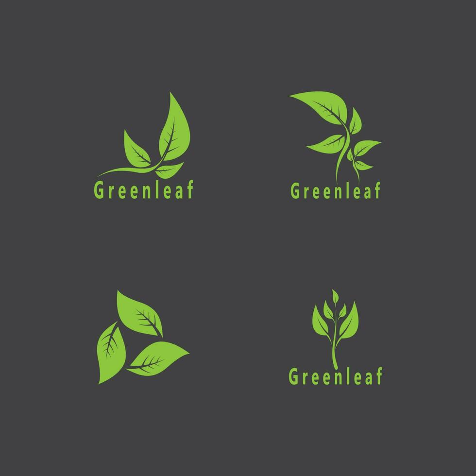 vert feuille la nature plante conceptuel symbole vecteur illustration