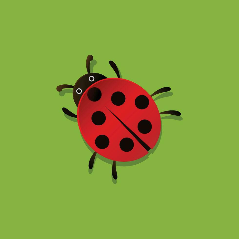 coccinelle dessin animé vecteur