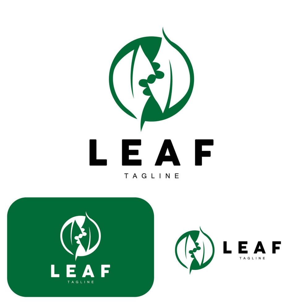 vert feuille logo, écologie Naturel plante vecteur, la nature conception, illustration modèle icône vecteur