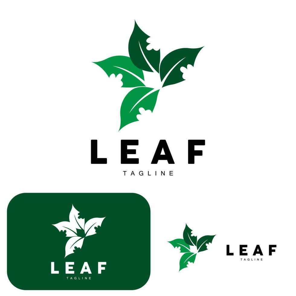 vert feuille logo, écologie Naturel plante vecteur, la nature conception, illustration modèle icône vecteur