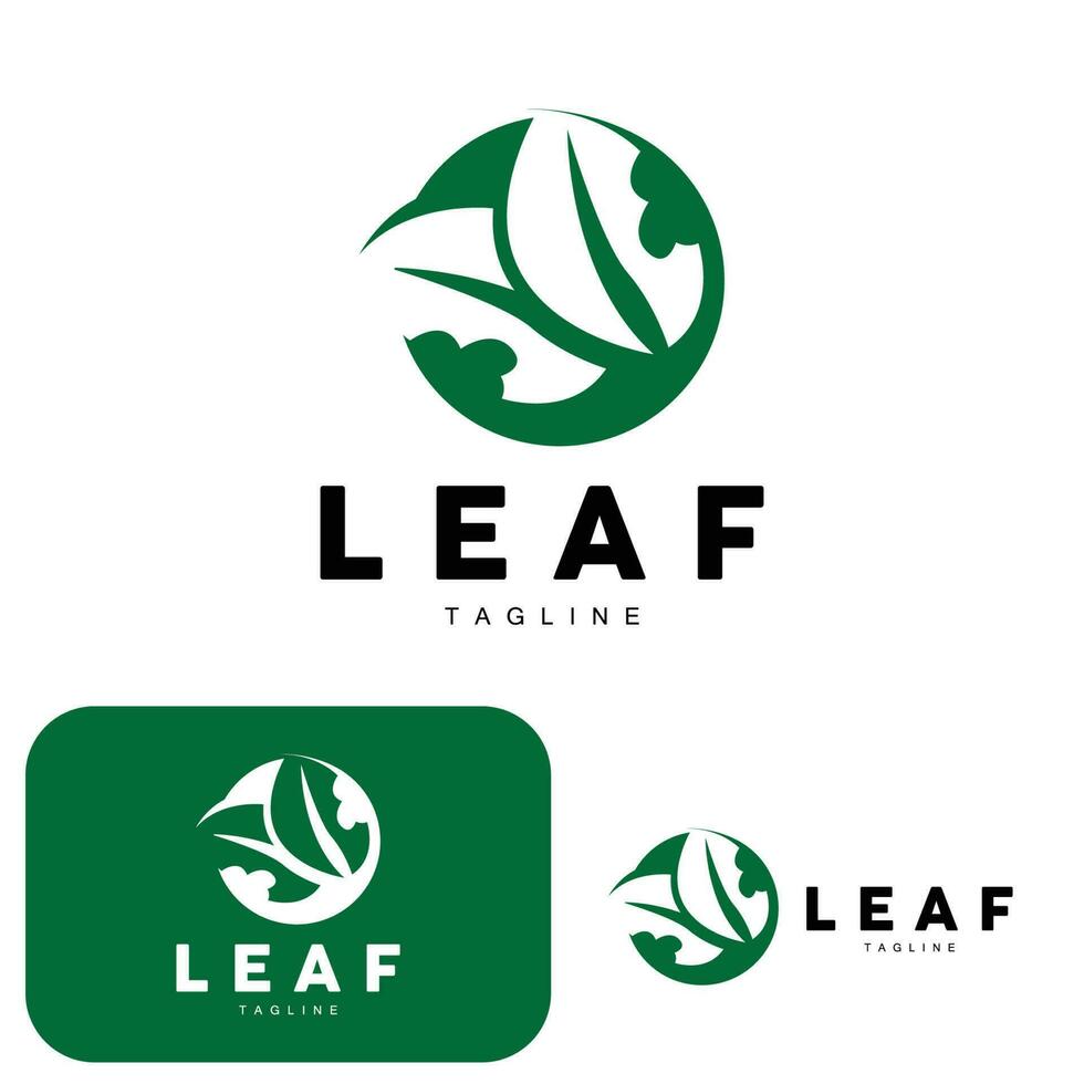 vert feuille logo, écologie Naturel plante vecteur, la nature conception, illustration modèle icône vecteur