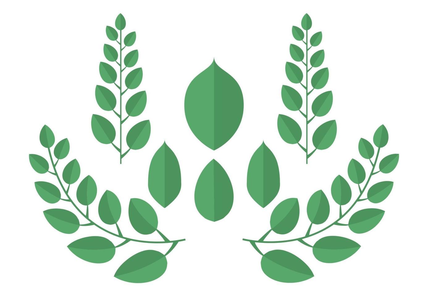 conception de feuilles vertes vecteur