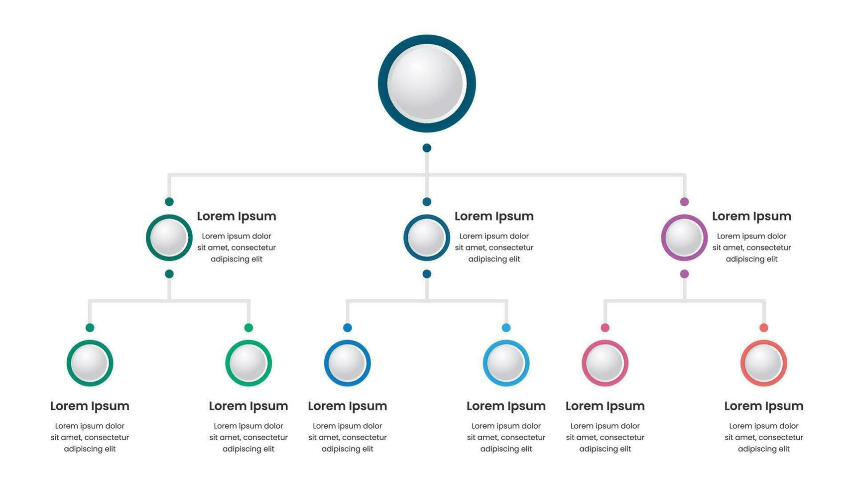 affaires structure infographie modèle avec entreprise hiérarchie éléments vecteur