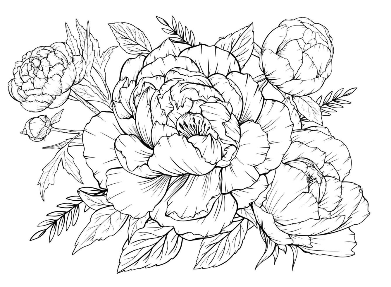 Coloriage avec des pivoines et des feuilles. page de vecteur à colorier. coloriage de fleurs. imprimé floral. contour des pivoines. page noir et blanc pour cahier de coloriage.