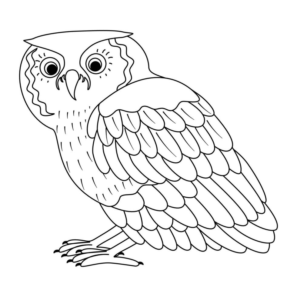 mignon, dessin animé hibou oiseau. ligne art. vecteur