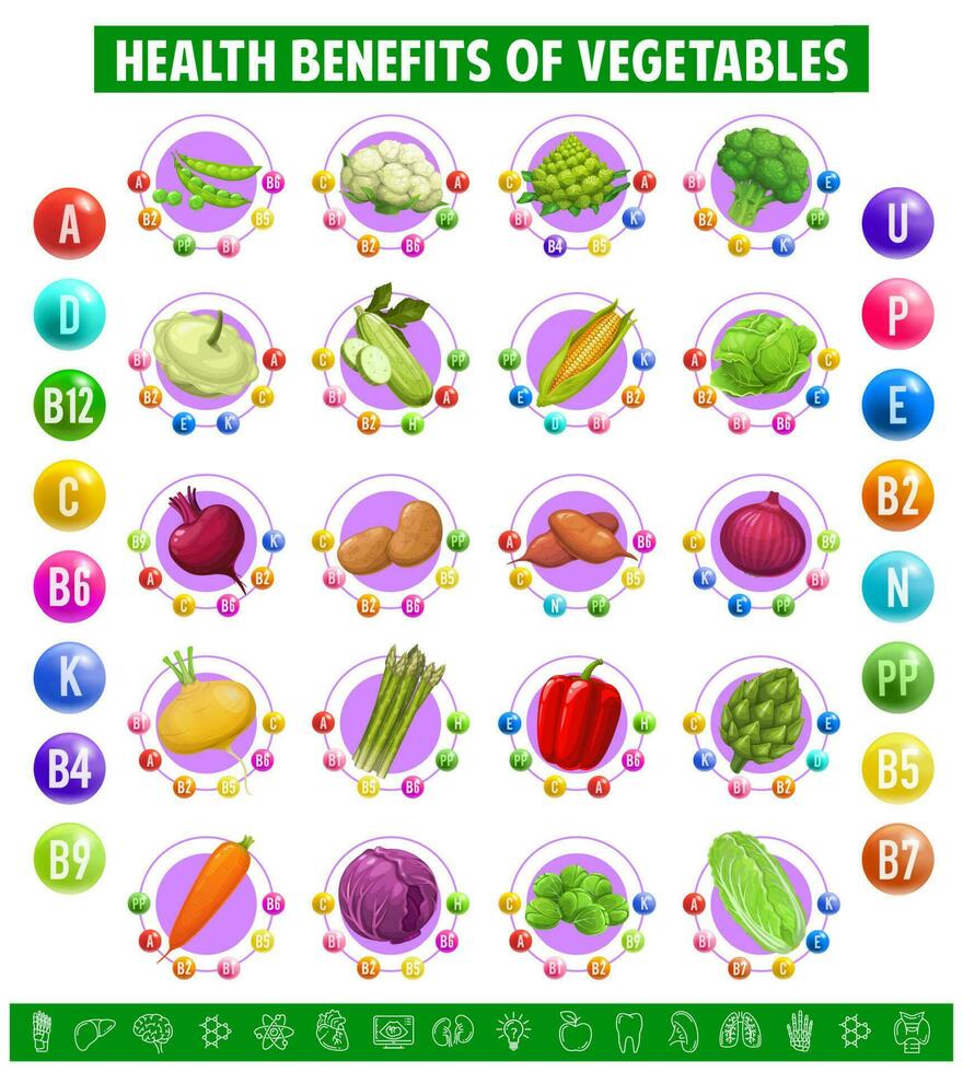 graphique table contenu de vitamines dans des légumes vecteur