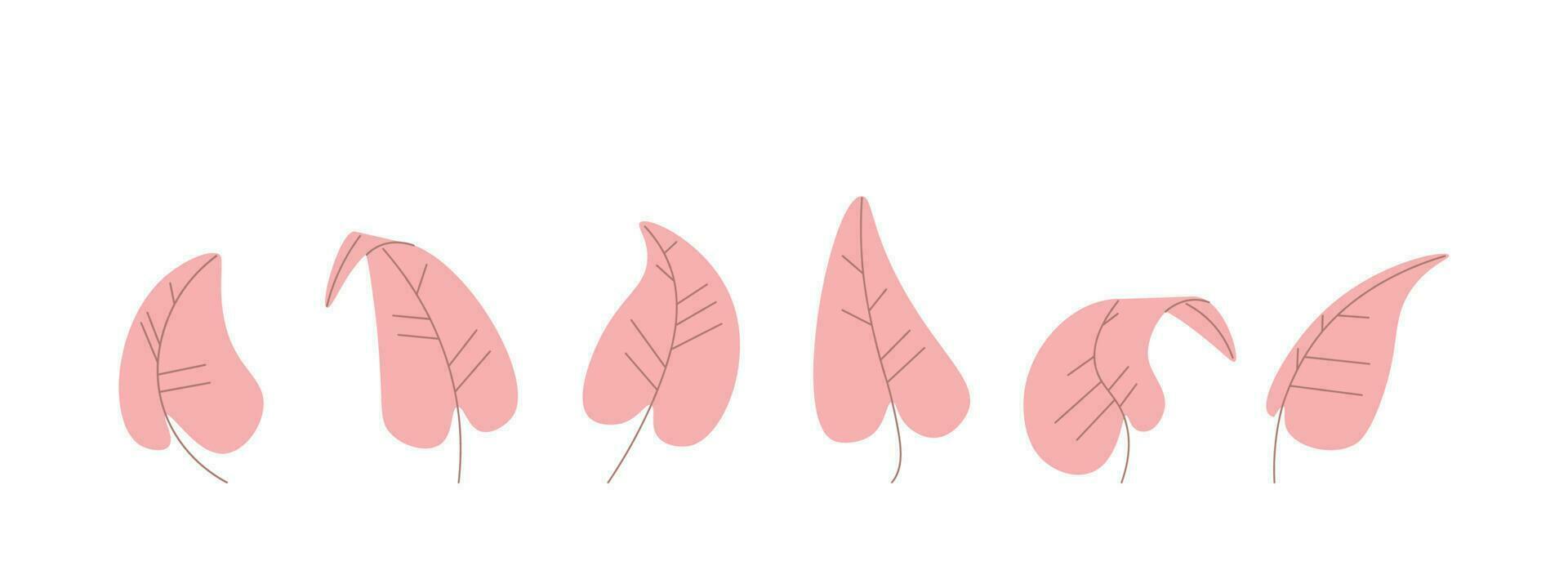 ensemble de rose feuilles de décoratif dessin animé plante. arrondi feuille avec veines. vecteur isolé sur blanc Contexte pour conception.