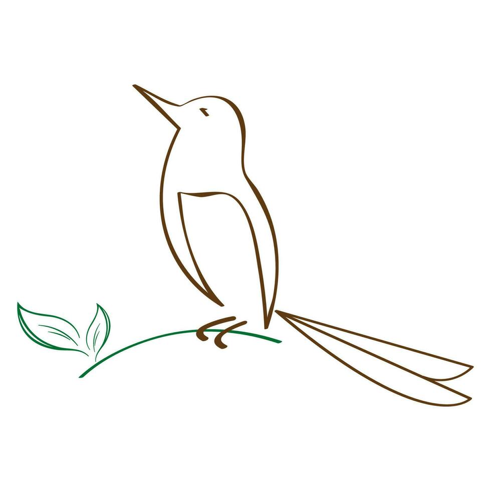 oiseau logo vecteur illustration conception