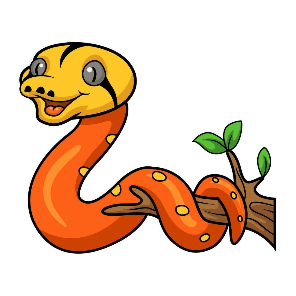 mignonne albinos d'or enfant réticulé python dessin animé sur arbre branche vecteur